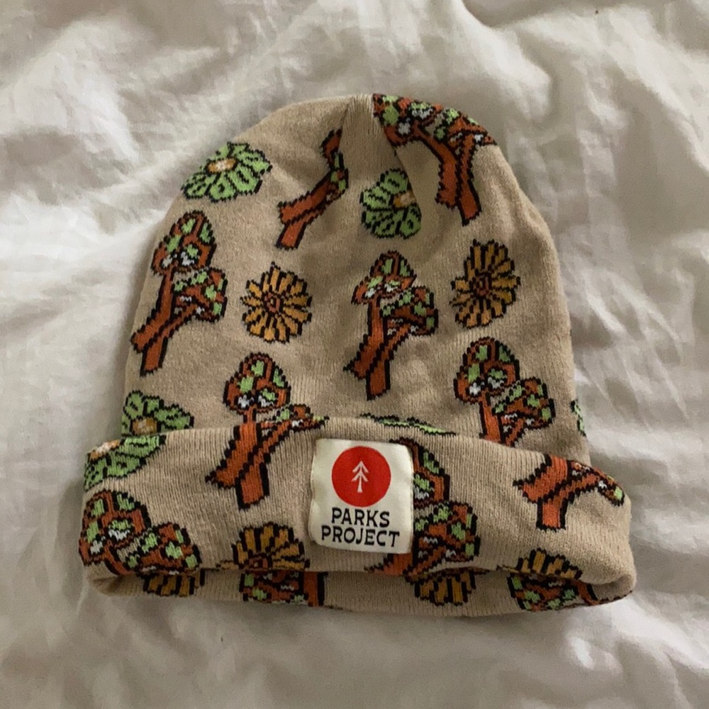 Free People parks project beanie